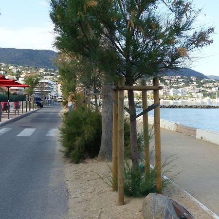 Studio Cosy Avec Tv Et Cuisine Equipee, Bord De Mer Le Lavandou - Fr-1-308-34 Exterior photo